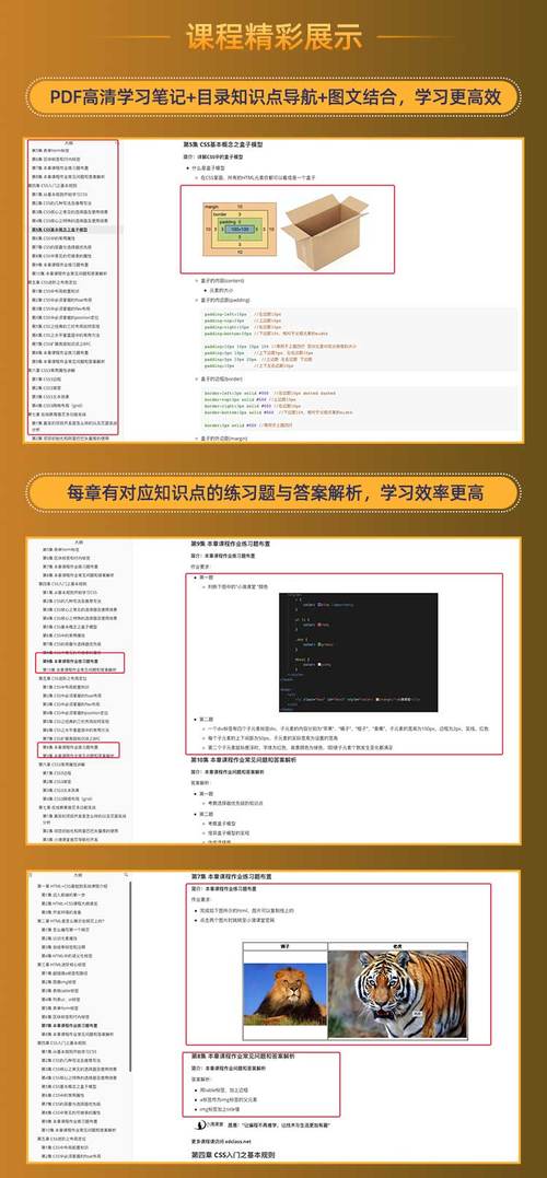 网页制作必学编程语言指南：从HTML基础到CSS美化技巧”