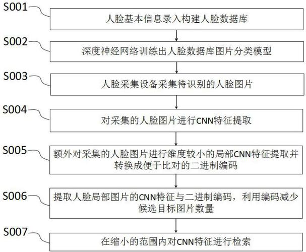 构建网站人脸验证系统：核心环节及开发语言选择全解析”